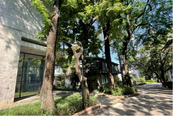 新仕誠公司順應綠色發展潮流，堅定不移推進園區生態文明建設