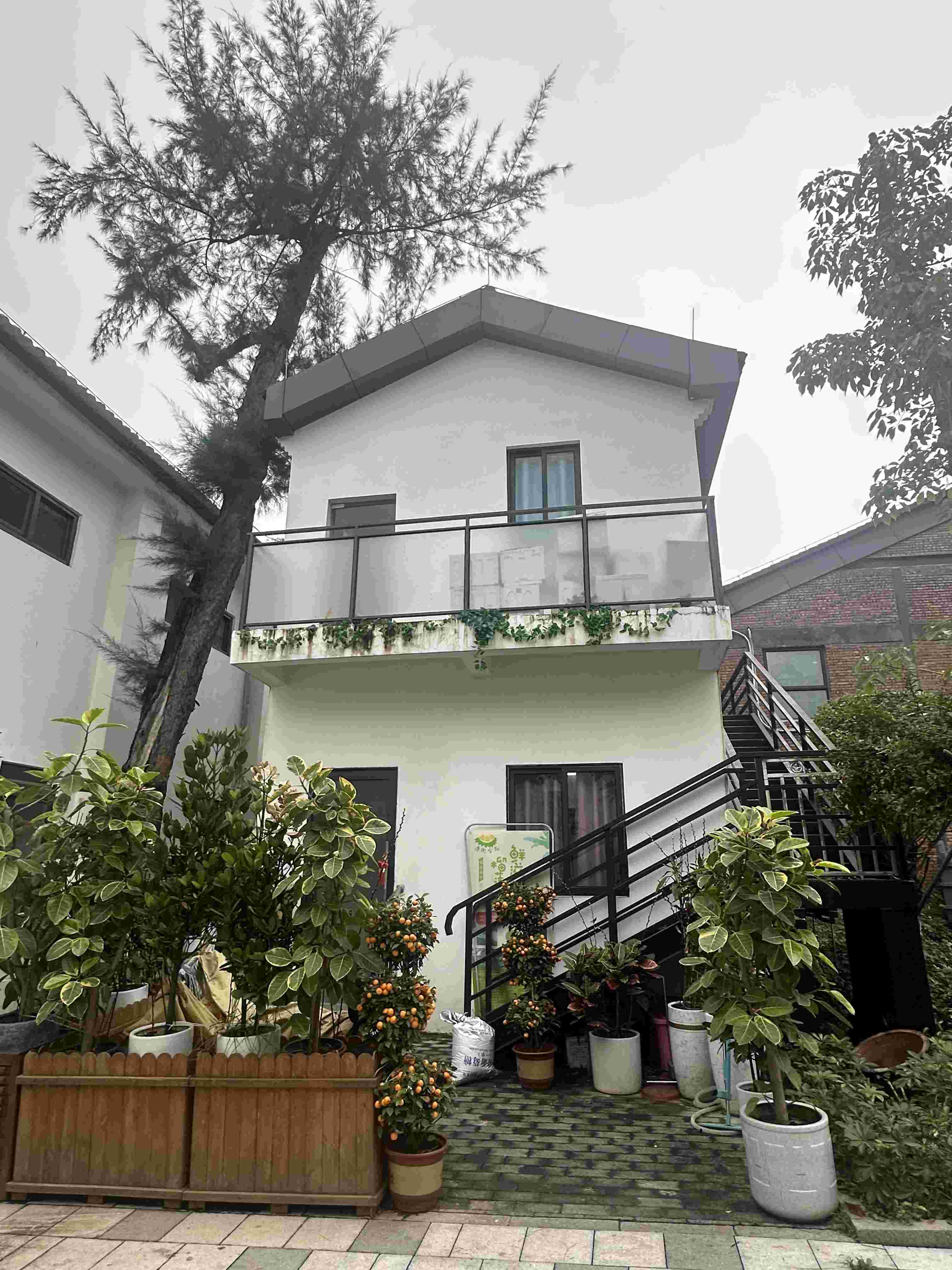 T.I.T文創園53-1棟